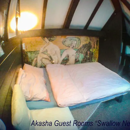 Akasha Guest * Krakau